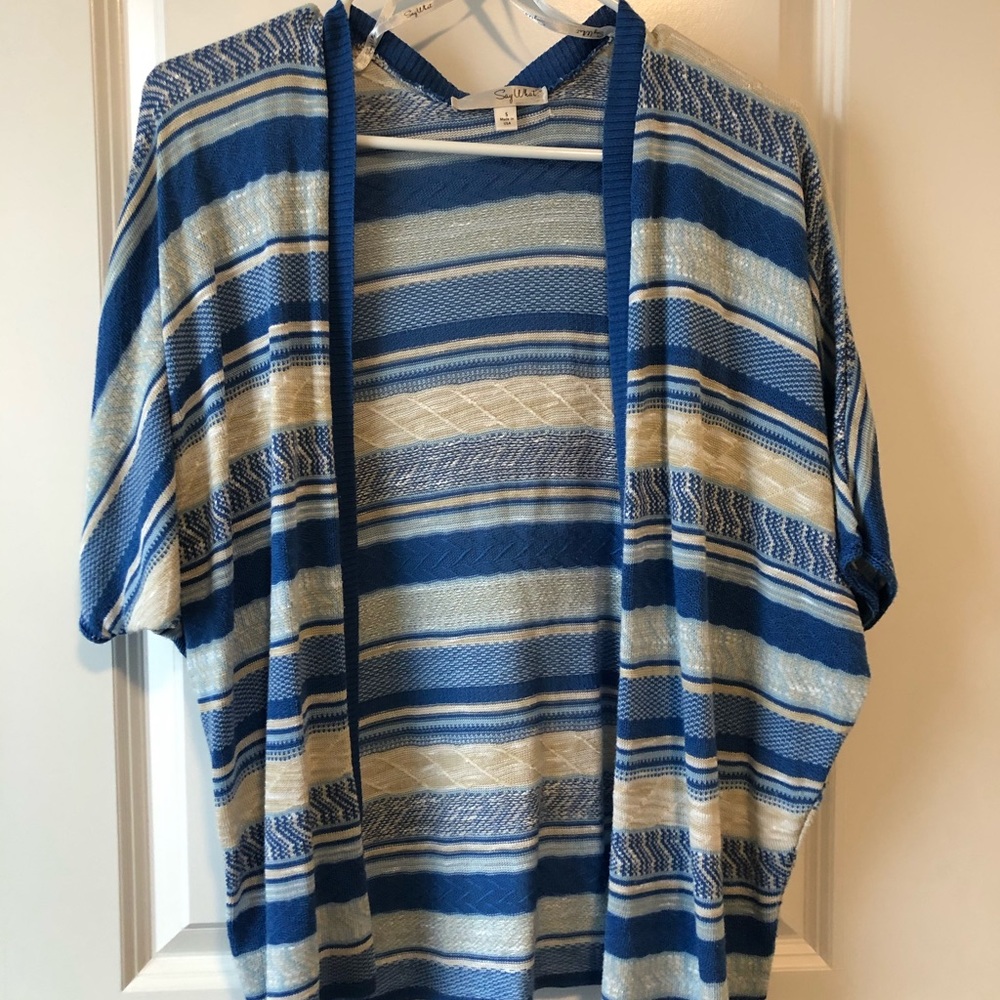 blue striped cardigan